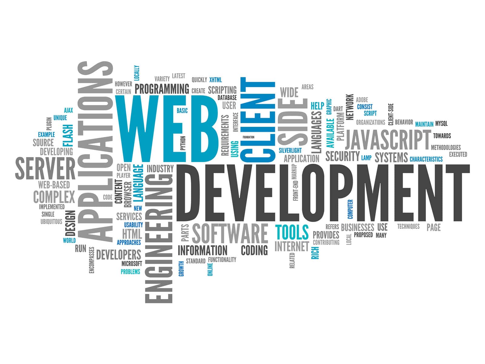 web-development Sviluppo web